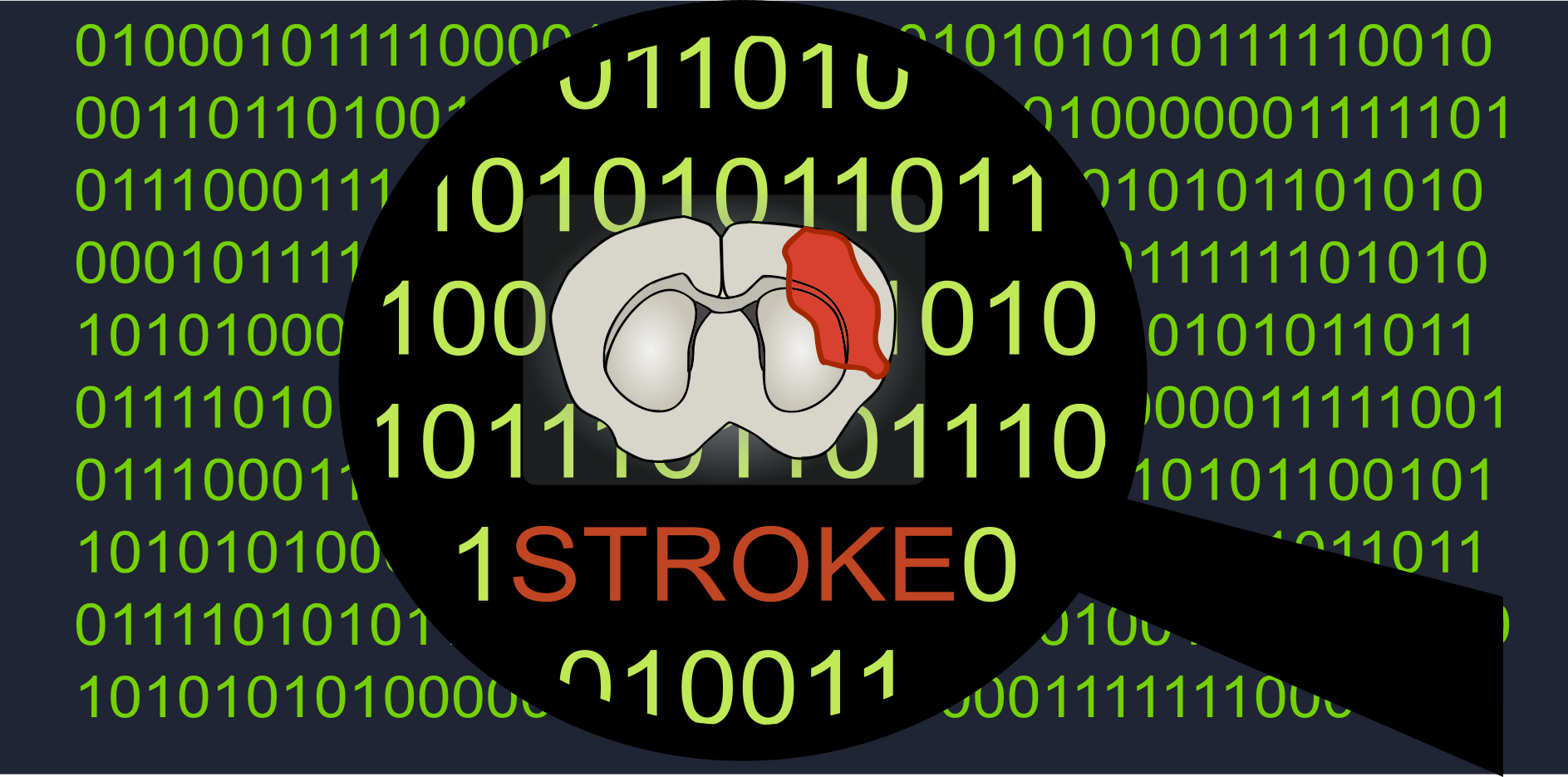 Scientific illustration introducing the lab’s stroke recovery research