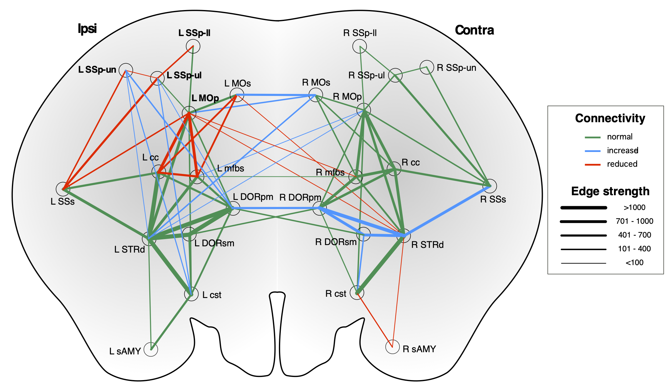 Figure illustrating stroke recovery findings